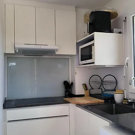 Appartement En Rez De Jardin Avec Pisicne Saint-Cyprien (Pyrenees-Orientales)