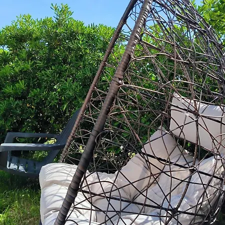 En Rez De Jardin Avec Pisicne
